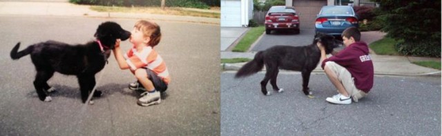 Щенки, которые с возрастом стали занимать