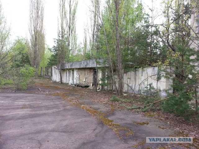 Поездка в Зону Отчуждения