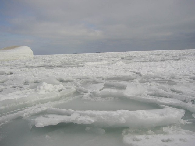Черное море... замерзло!