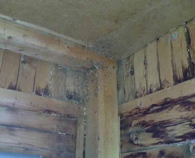 Коттедж опасных соседей