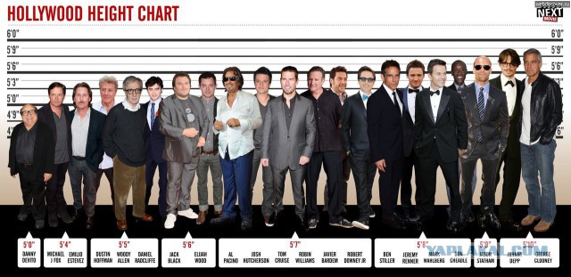 15 знаменитостей, рост которых ниже, чем вы думали