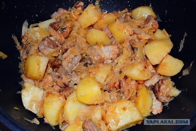 Психокулинария. День открытых дверей.