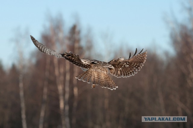 Всем нашим встречам,  увы, разлуки суждены...