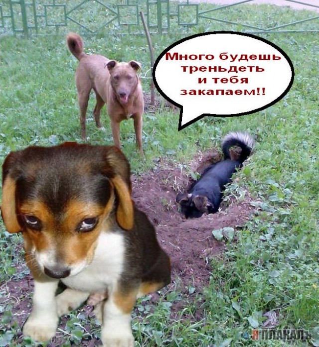 Фотожаба: да здесь где-то недалеко!