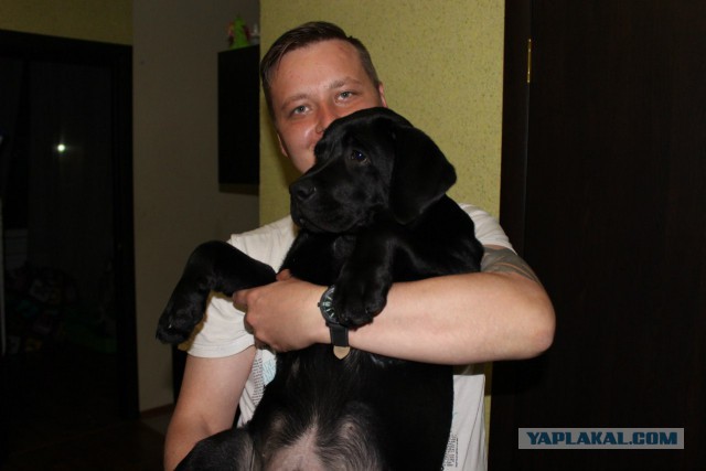 Смелые ЯПовцы.