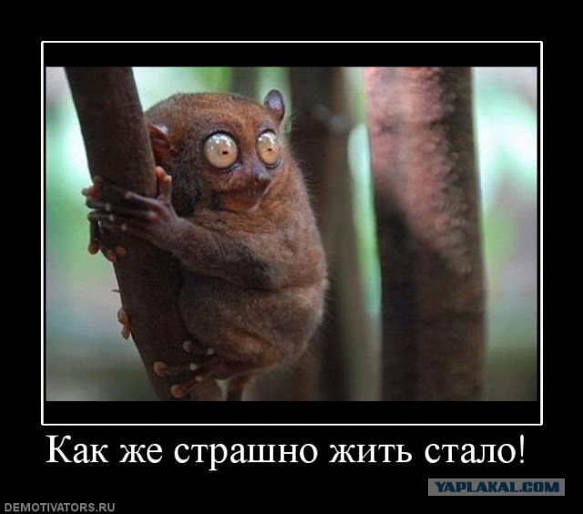 Встречаясь с блондинкой-моделью, удостоверься, что она не мужик