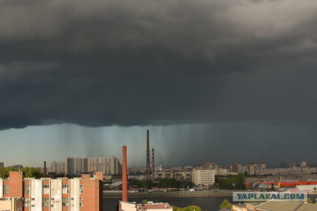 Питер обыкновенный...