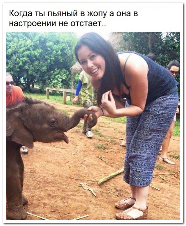 Смешные комментарии из социальных сетей 14.04.2017