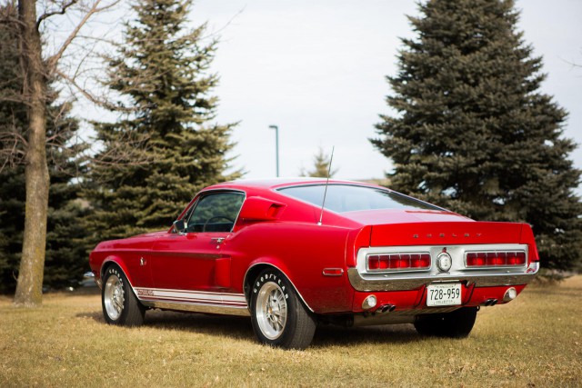 Ford Mustang. Просто фото.