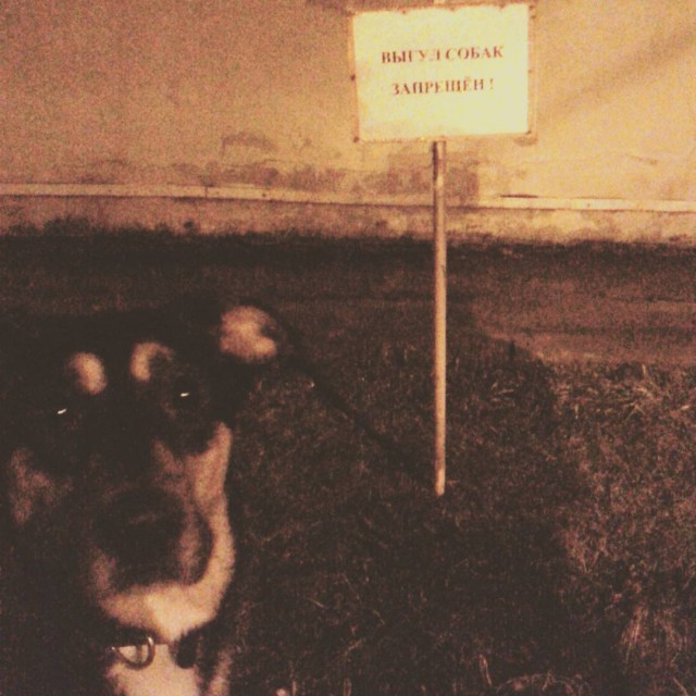 Тяжело быть анархистом
