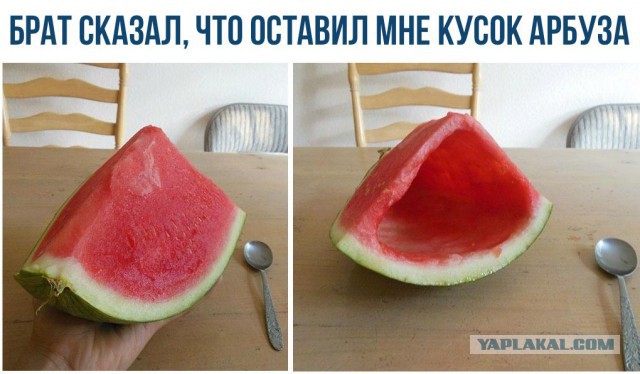 журнал деградант
