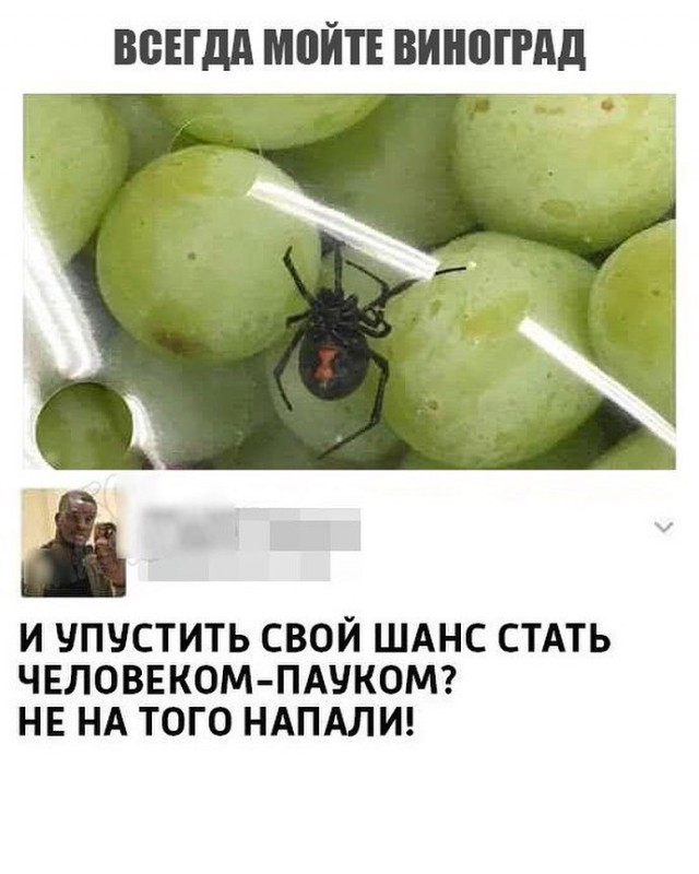 Сидите тут, развиваетесь... А деградировать кто будет?!
