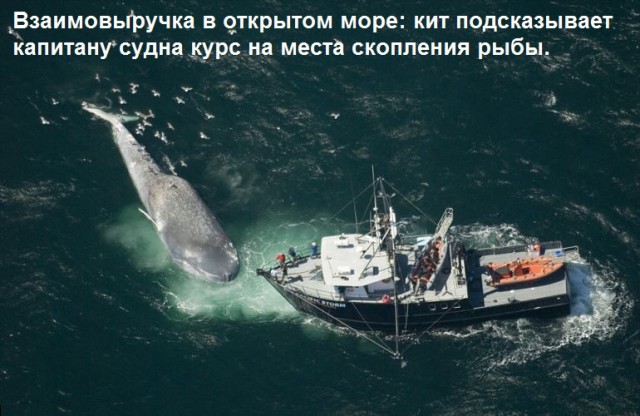 Подборка интересных и веселых картинок