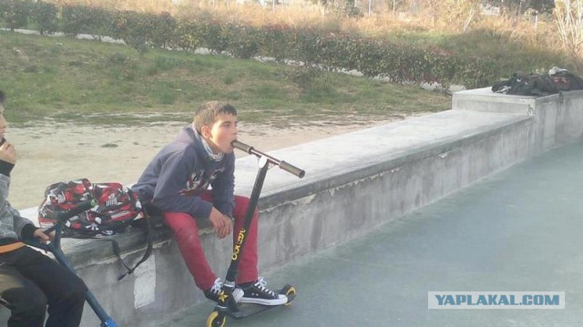 Чудики из социальных сетей