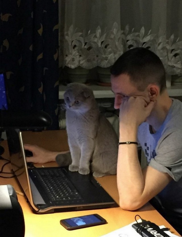 Немного милоты