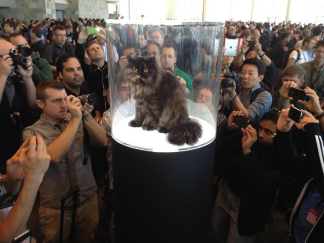 Фото, на которых все могло бы быть нормально, если бы не одно но...