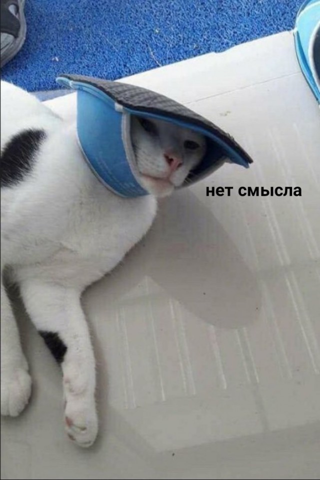 Немного милоты