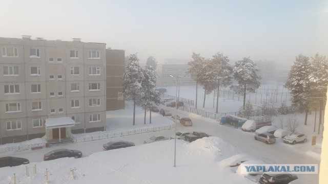 Сургут 01.02.2019, несколько фотографий