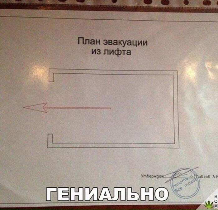 Я требую переводчика!