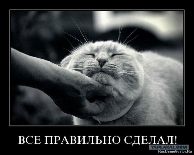 В Одессе спасли щенков, выкинутых на мороз в мешке