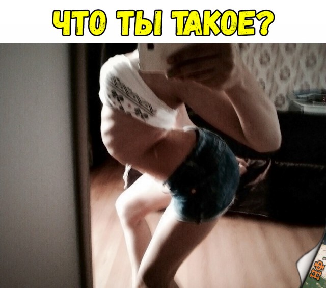 Прикольные картинки абавсём