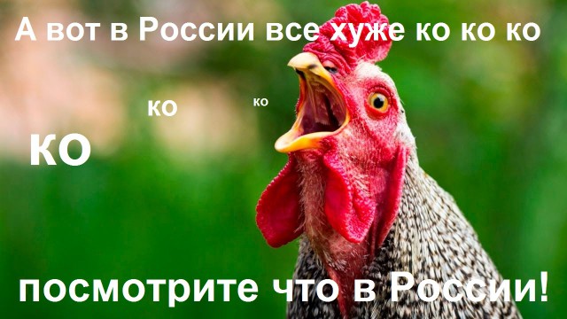 События в Либерии всё больше напоминают сцены из фильма "Планета обезьян" ...