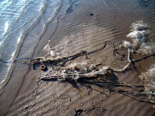 Прогулка по дну Обского водохранилища