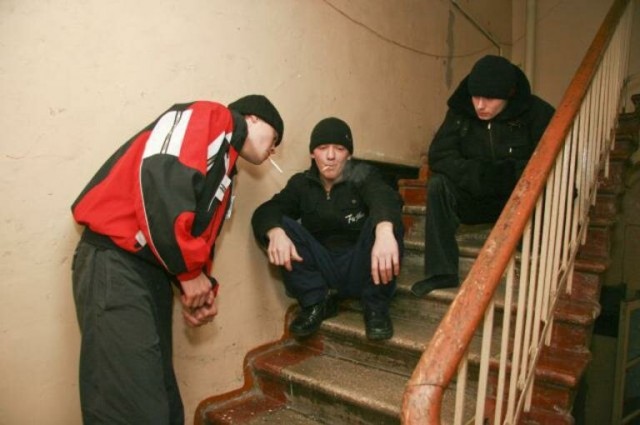 Скотсети и прочие интернеты 12.08.2020