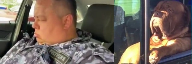 Чет подустал и закимарил