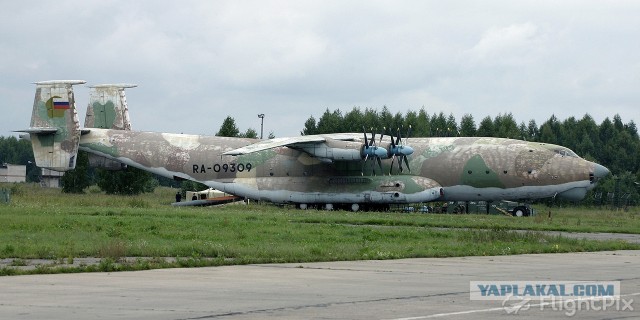 Серьезная птичка. Ан-22 Антей