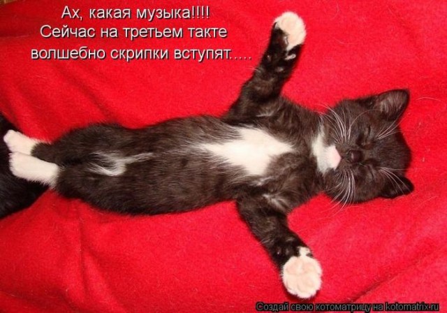 Картинки разные 08.10.2020