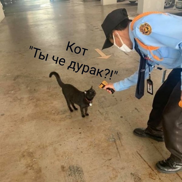 Фотки и картинки: юморные и красивые, забавные и милые 16.11.20