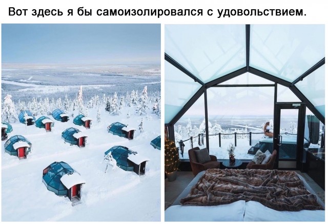 Картинки всякие 06.12.20