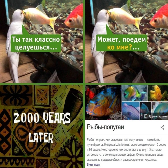 Едрить - колотить!