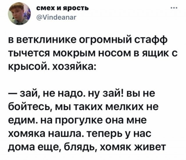 Картинки и мемы для настроения 26.05.2021