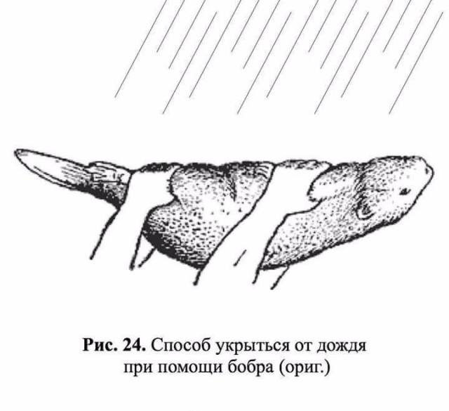 Аморальная деградация