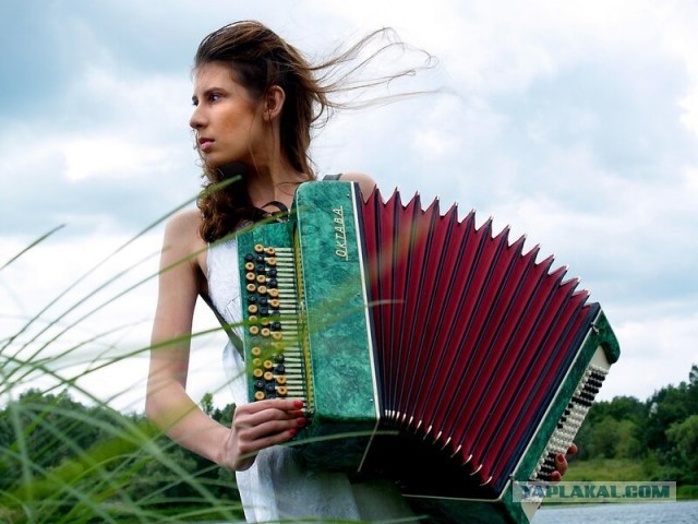 Американцы, красавцы