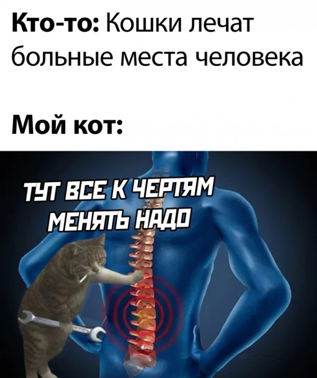 Весёлый полтишок 20.09.