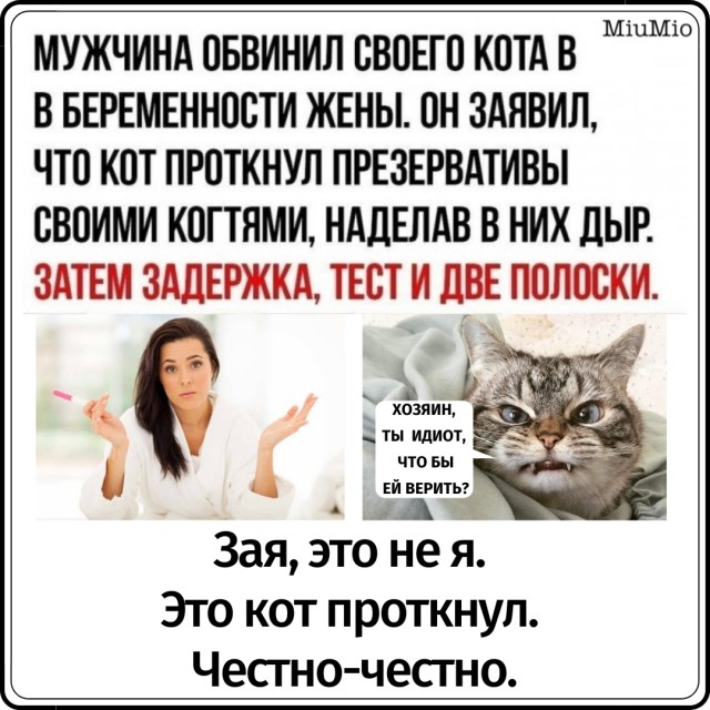 Мои умные и не очень мысли в картинках