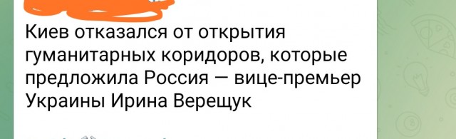 Россия объявит режим тишины на Украине