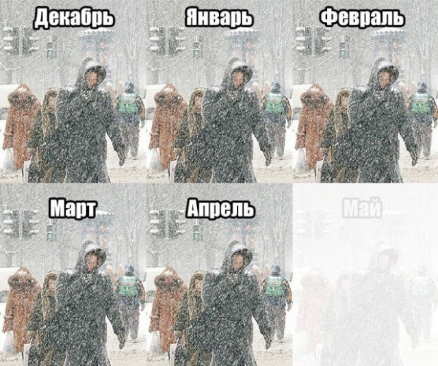 Картинки и мемы, всем отличных выходных