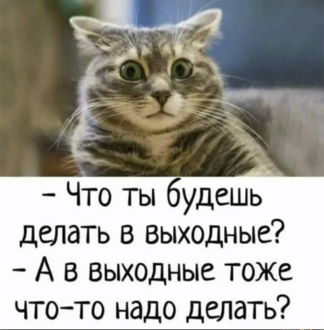 Немного картинок и прочей хреноты Vol. 14