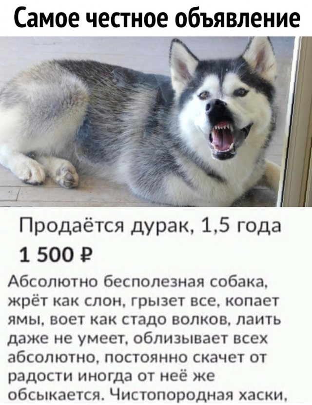 Он только учится!