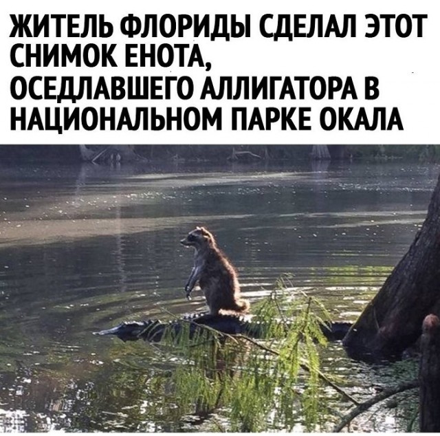 Картинки с надписями и всякие жизненные фразы