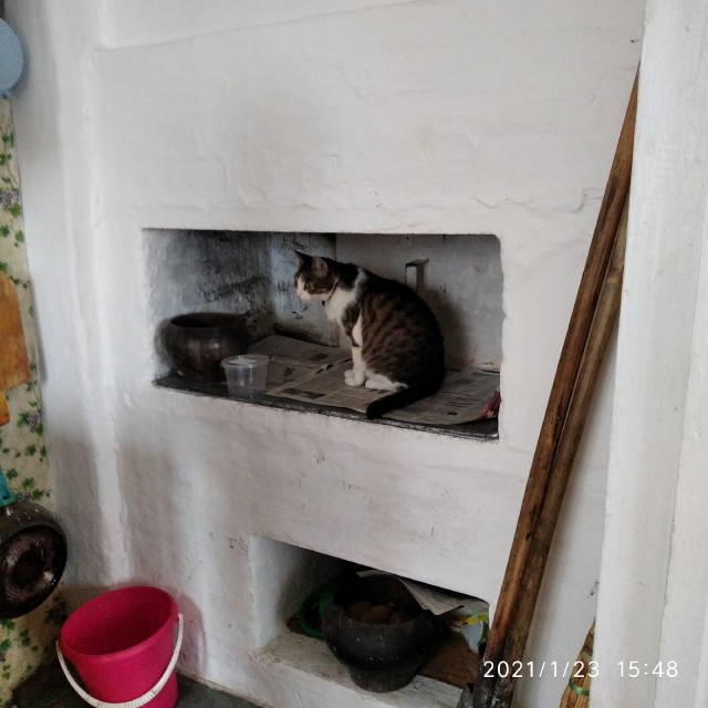 Деревенские, милые, шерстяные