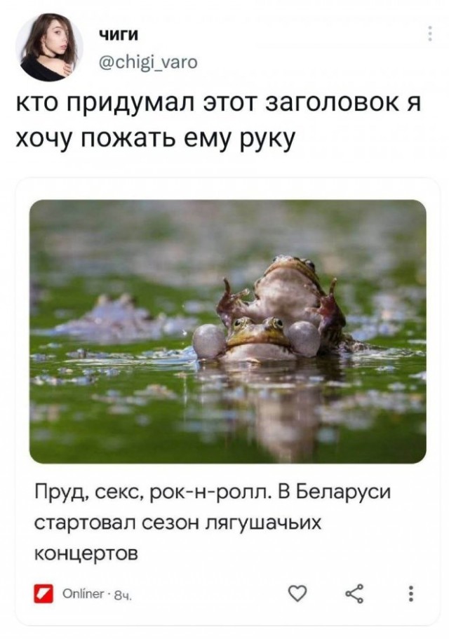 Картинки и мемы для настроения - 29