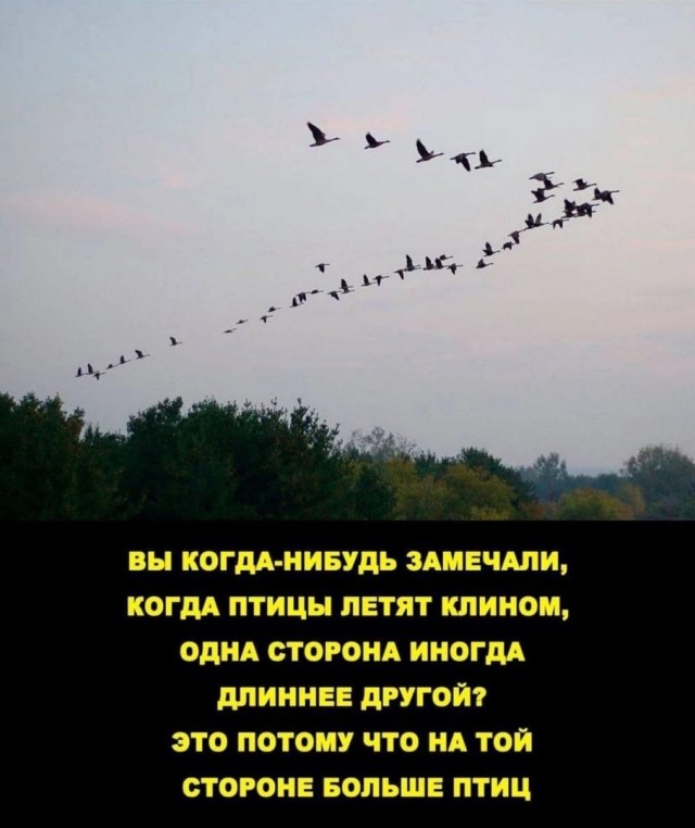 Так себе картинки 18.07.22
