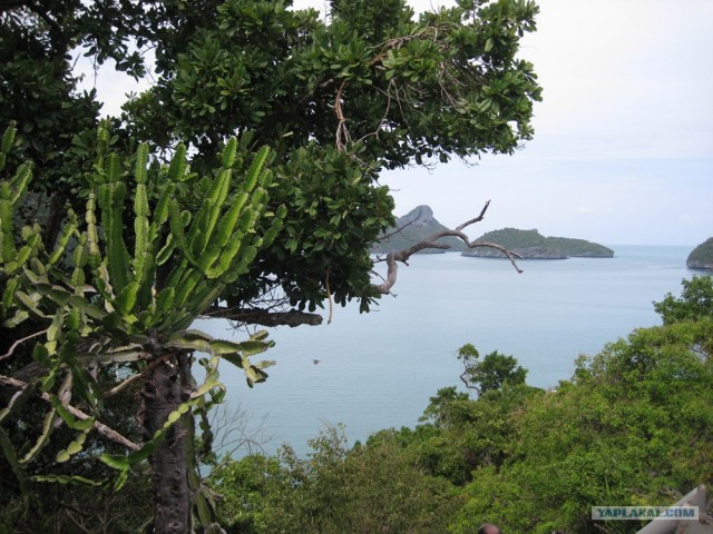 Такой разный остров Самуи