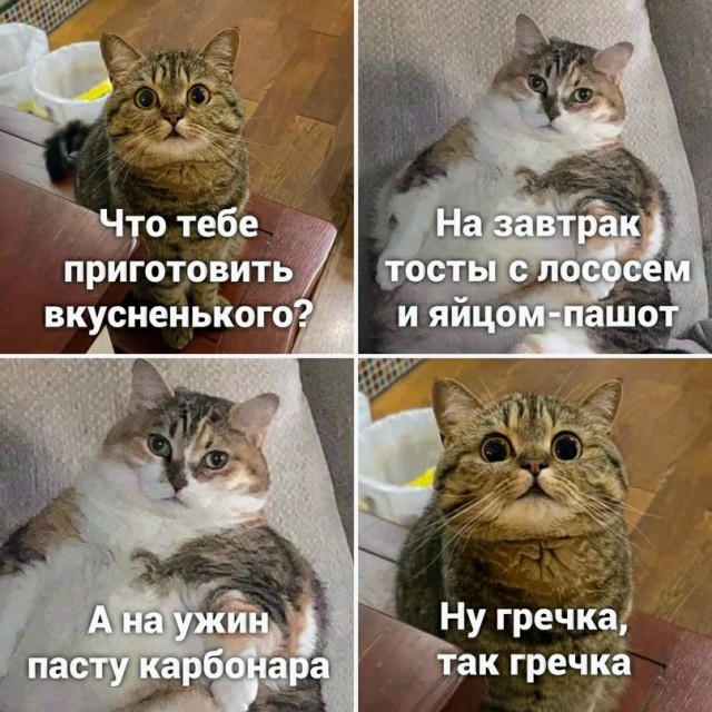 Картинки и мемы для настроения - 27