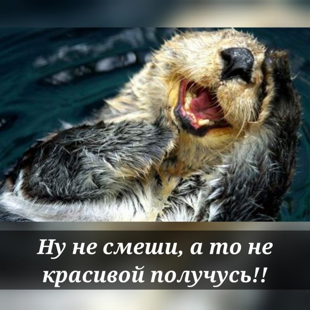 Так себе картинки 02.08.22